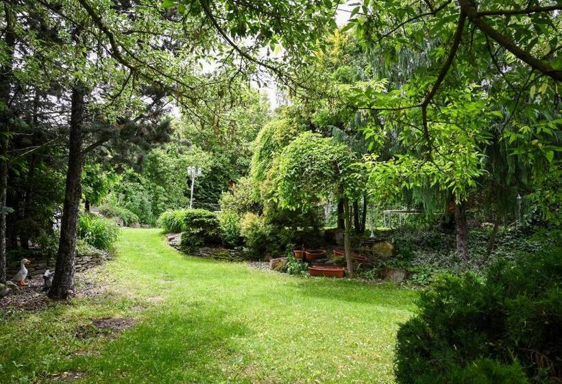 پانسیون Szt. Flórián Vendégház