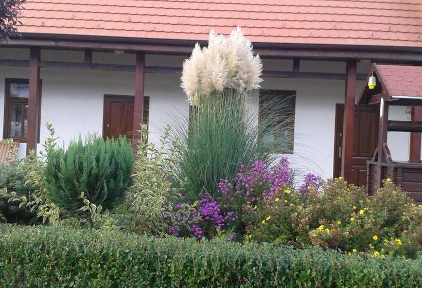 بنسيون Tip Top Lak Vendégház