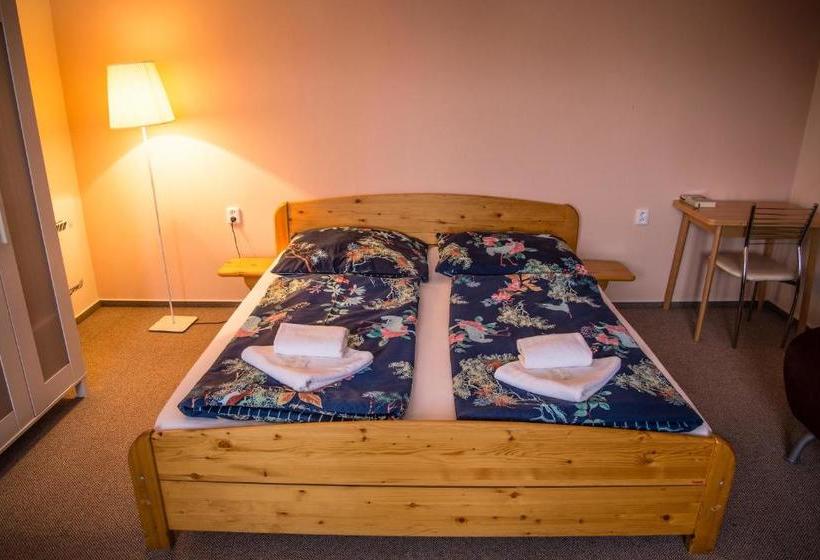 پانسیون U Dómu Sv. Václava