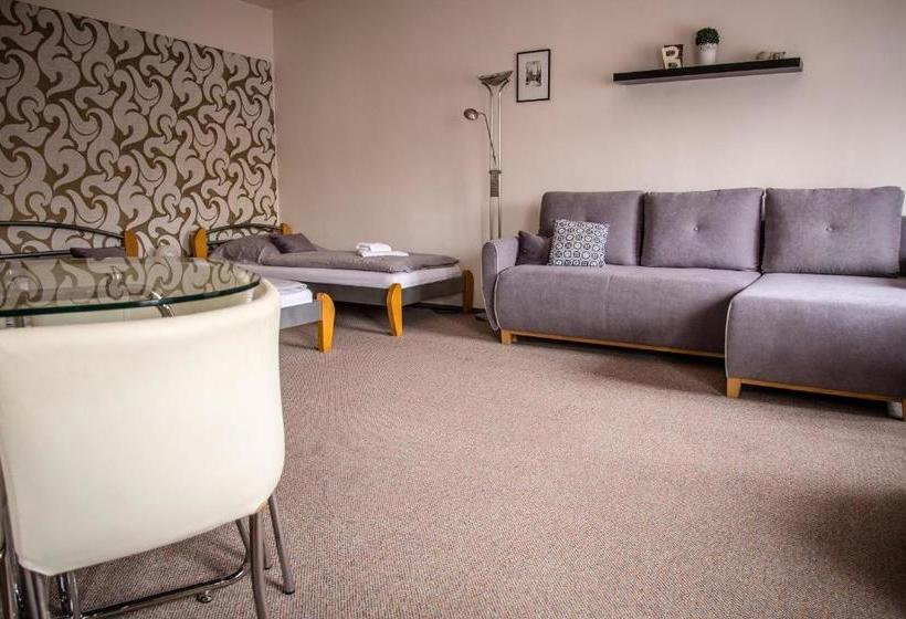 膳宿费 U Dómu Sv. Václava