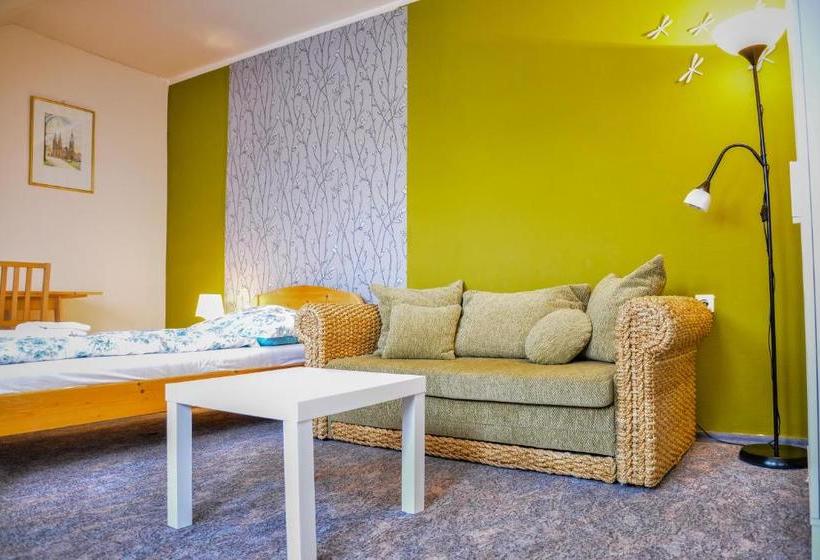 پانسیون U Dómu Sv. Václava