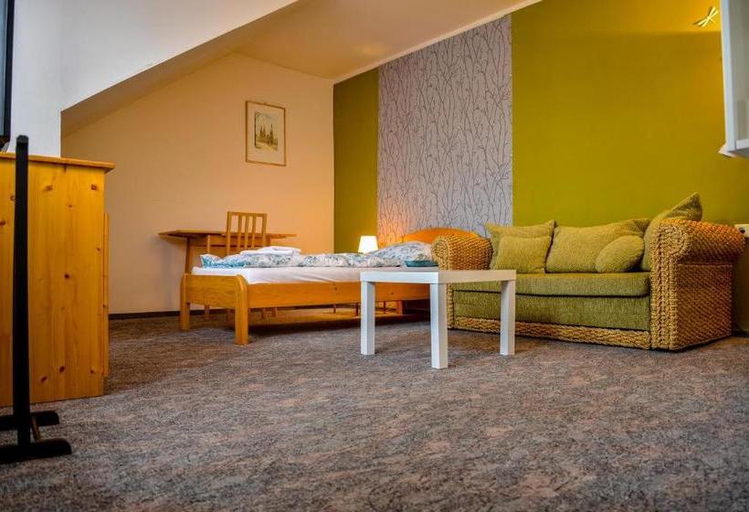 پانسیون U Dómu Sv. Václava