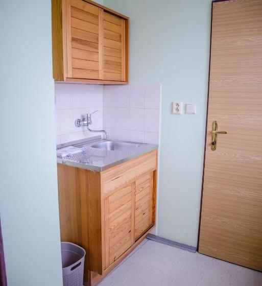 膳宿费 U Dómu Sv. Václava