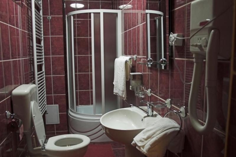 Pensiunea Turistica Delmonte Holiday