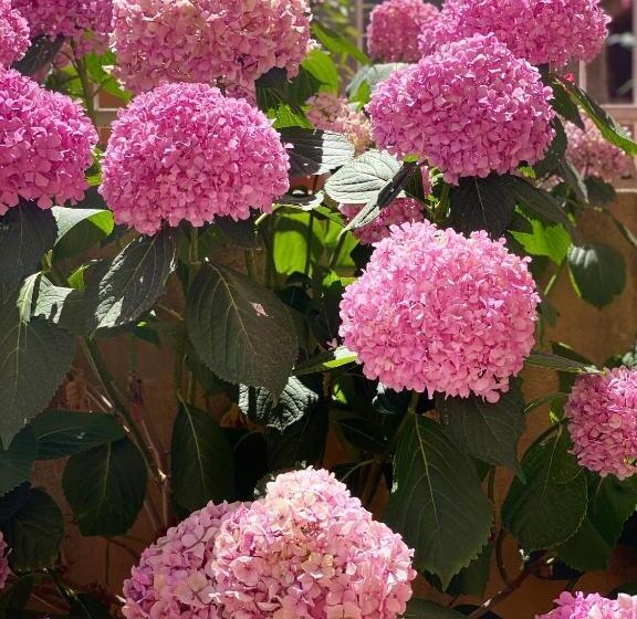 پانسیون Alice Chalet Bled Adults Only