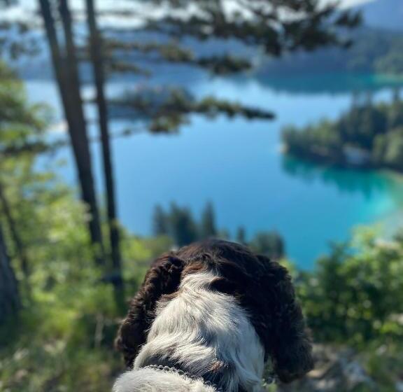 پانسیون Alice Chalet Bled Adults Only