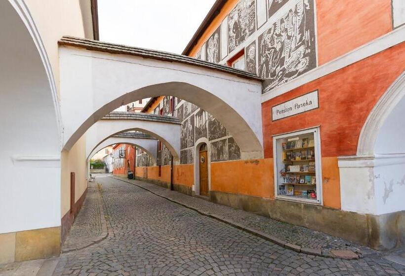 Pension Paseka