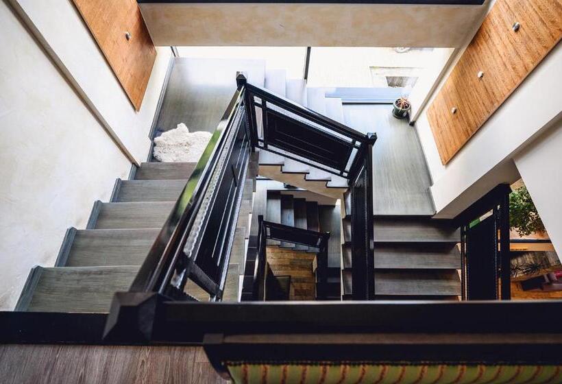 Pension Pîrîu' Morii