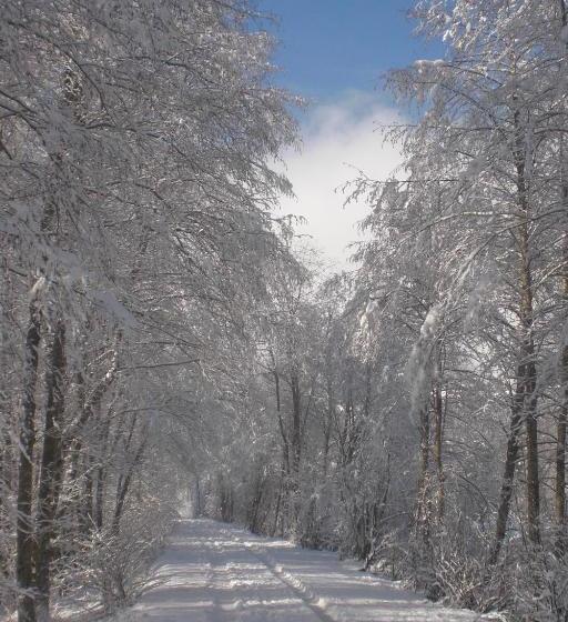 Naturpension Mühlhof