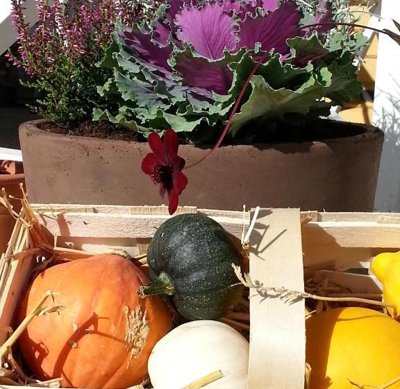 Pensionat Ankargården