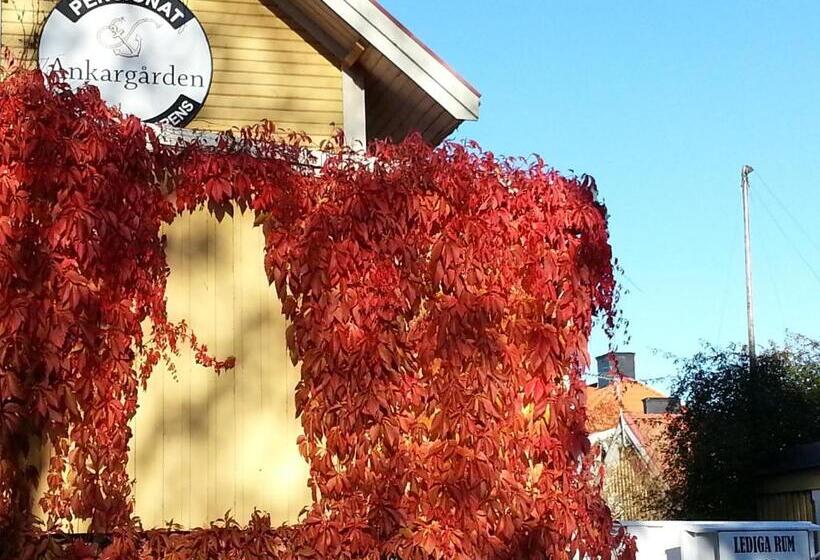 Pensionat Ankargården