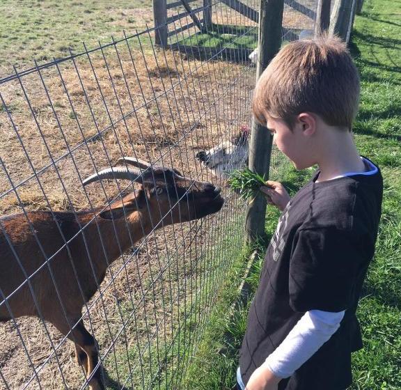 Pueblo Chico Agroturismo