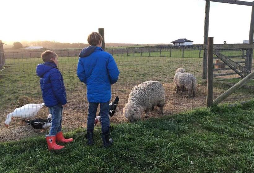 Pueblo Chico Agroturismo