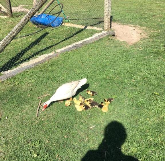 Pueblo Chico Agroturismo