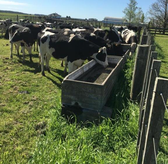 Pueblo Chico Agroturismo