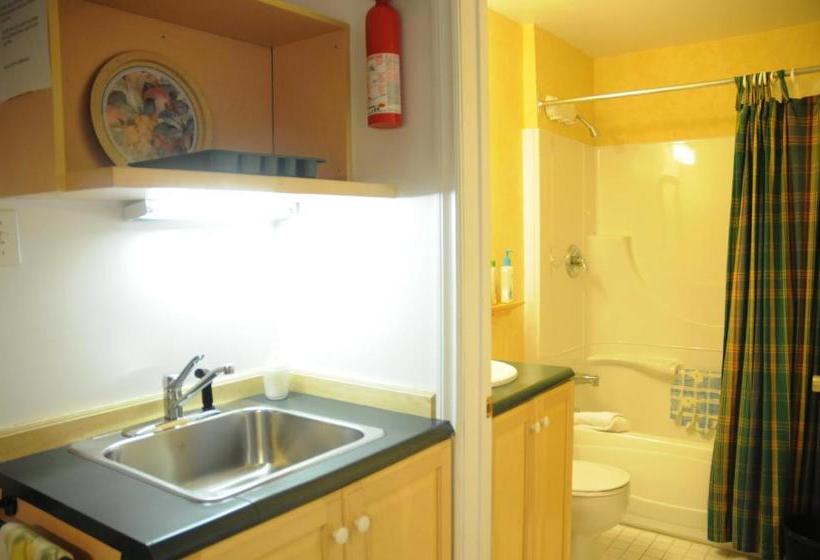 הוסטל Aux Petits Oiseaux Citqo96751