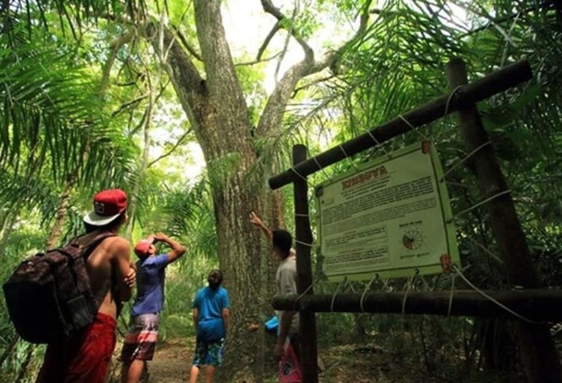 فندق صغير Cabanas