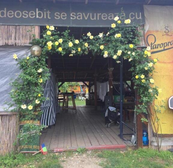 هاستل Casa Roz