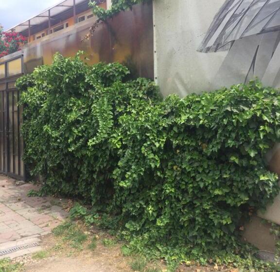 ユースホステル Casa Roz