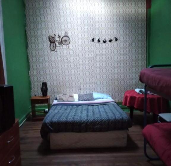 호스텔 Hostal Del Gato