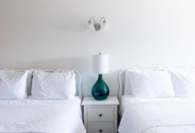 ユースホステル Rhea S Inn