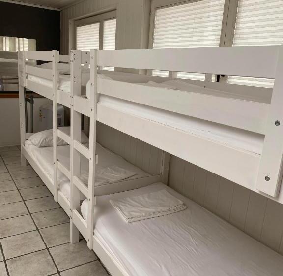 هاستل Travellers' Haven