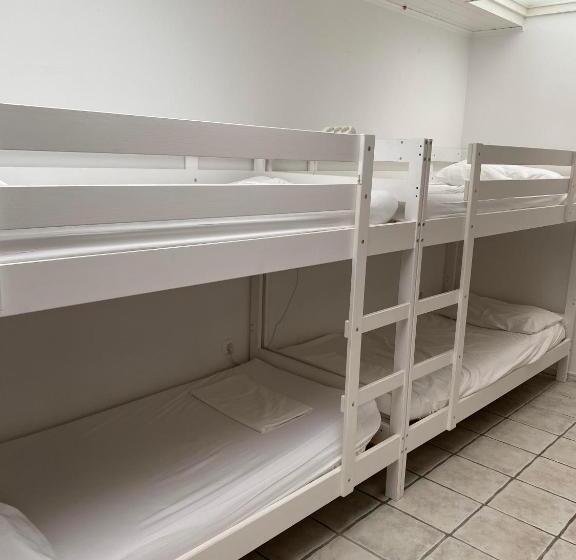 هاستل Travellers' Haven