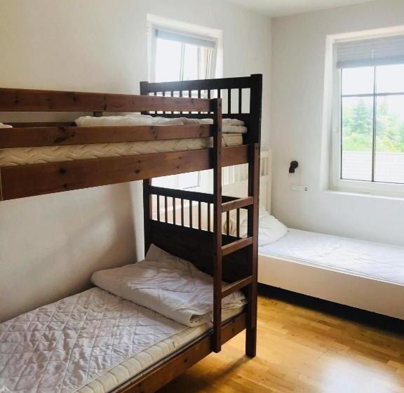 هاستل Travellers' Haven