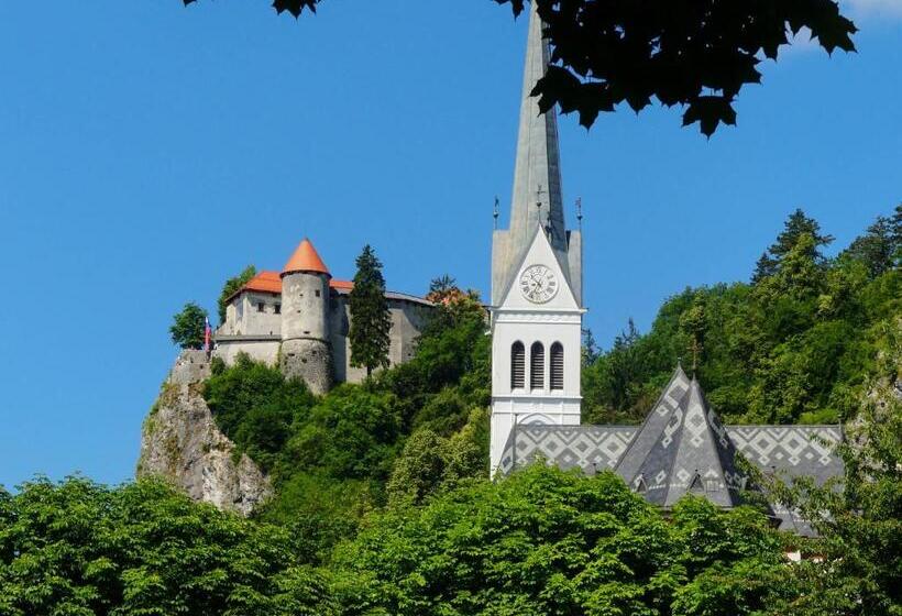 هاستل Travellers' Haven