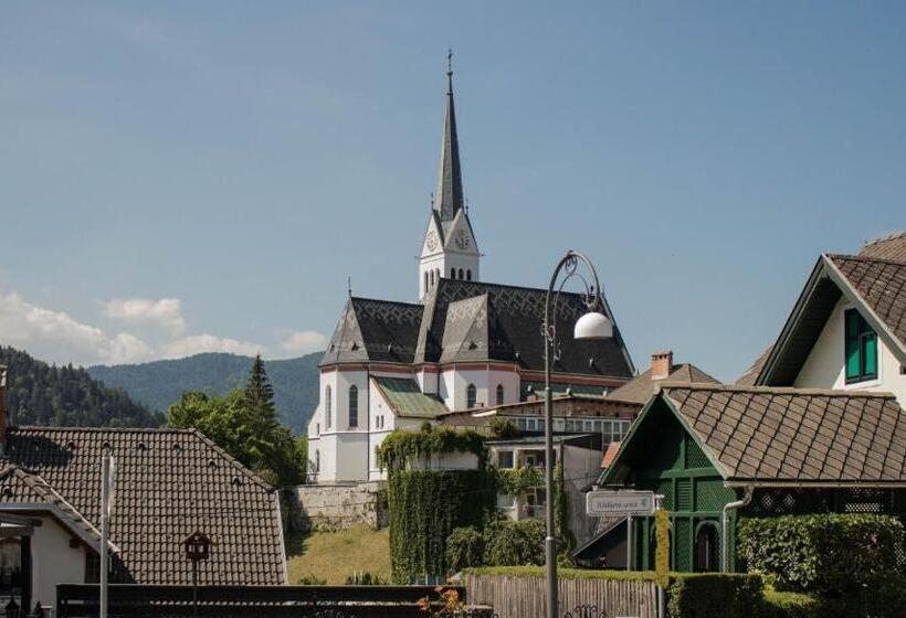 هاستل Travellers' Haven