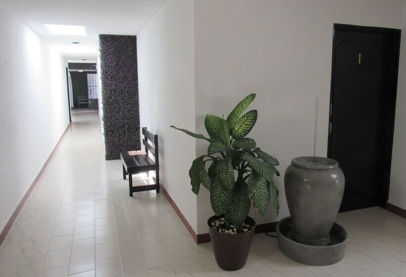 تختخواب و صبحانه Cholula Rooms