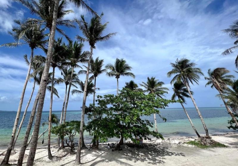 בית מלון כפרי Banana Bay Boracay