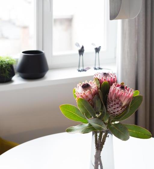 ホテル Fragola Apartments Old Town