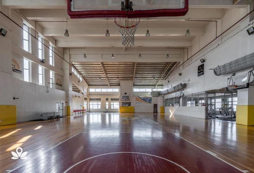 Отель Golden Panda Dormtel By Zen Rooms