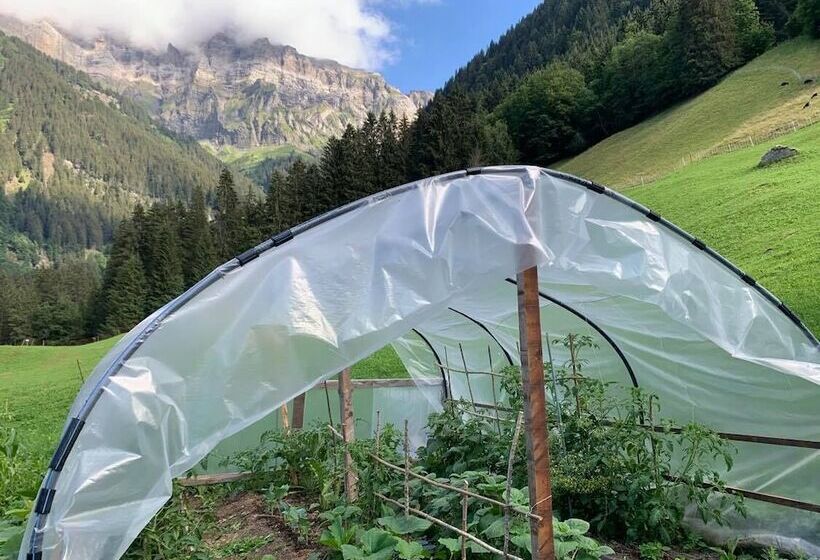 בית מלון כפרי Guest House Du Grand Paradis On Piste