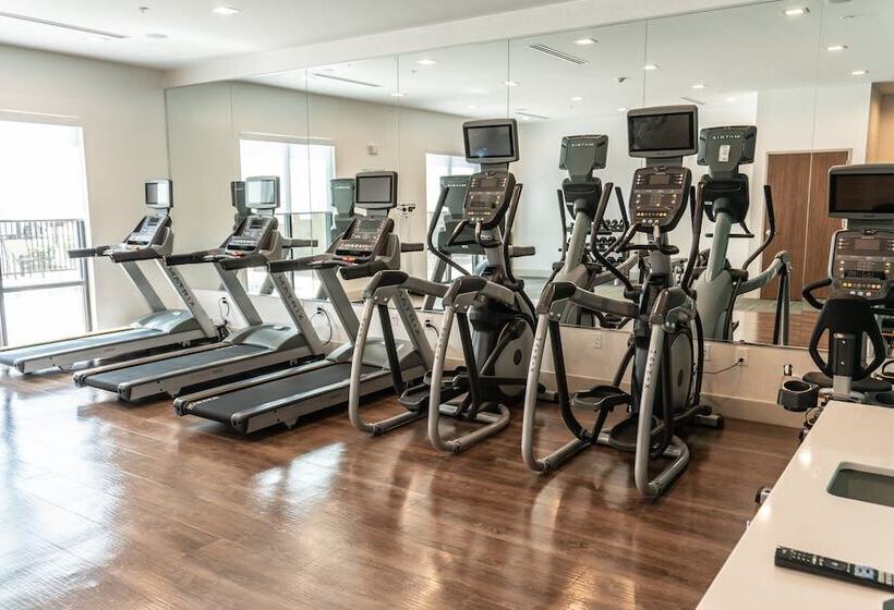 בית מלון כפרי Holiday Inn Express & Suites Birmingham   Homewood By Ihg