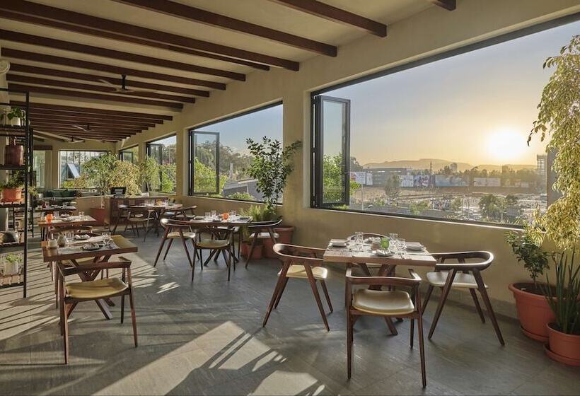 Отель Hyatt Regency Addis Ababa