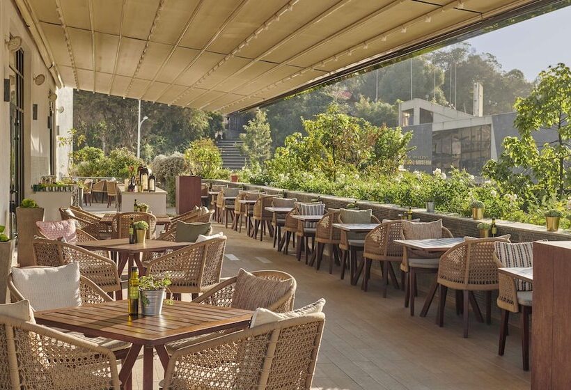 Отель Hyatt Regency Addis Ababa