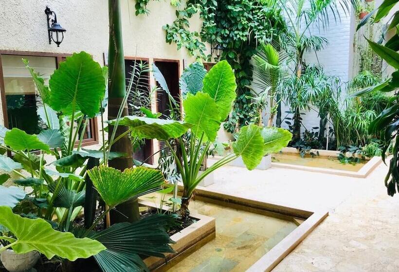 فندق Soy Local Insignia