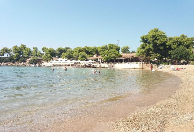 בית מלון כפרי Sunny Place Resort