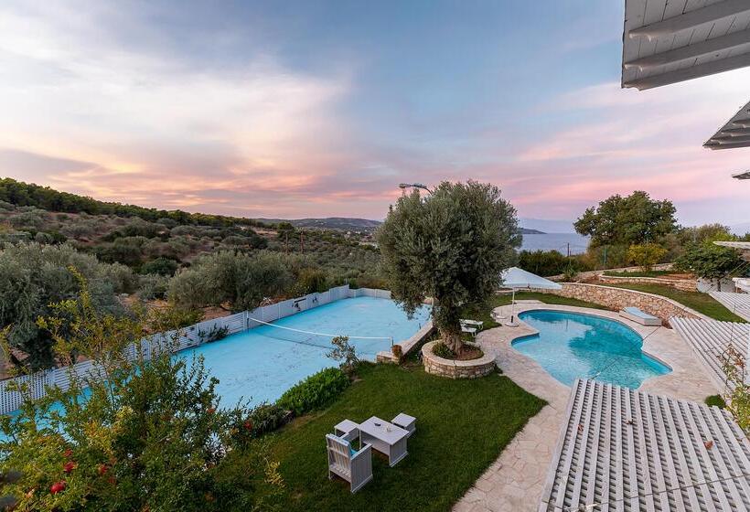 בית מלון כפרי Sunny Place Resort