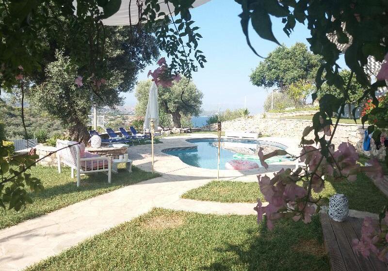 בית מלון כפרי Sunny Place Resort