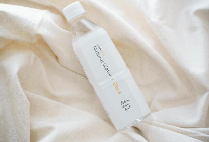 Super Hotel Gotenba 1