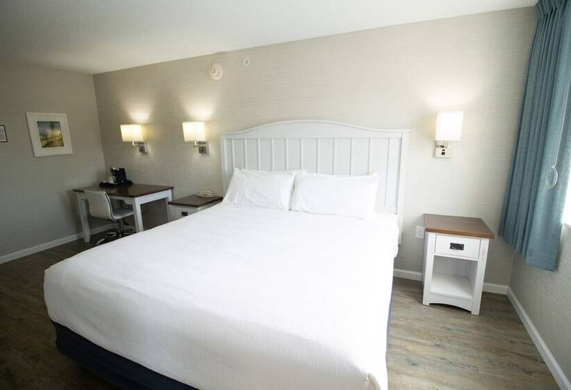 酒店 The Baywatch Resort