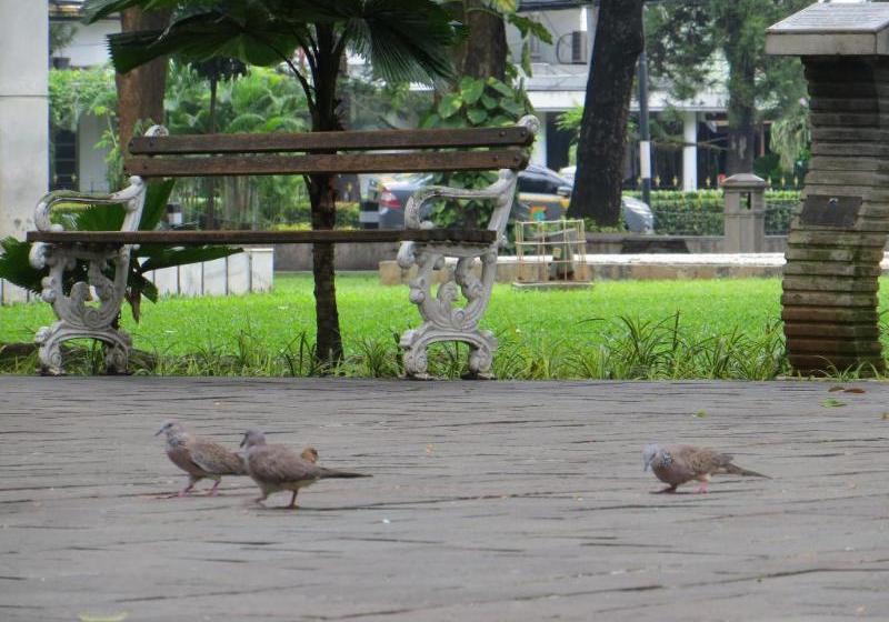 בית מלון כפרי Zen Rooms Basic Near Manggarai