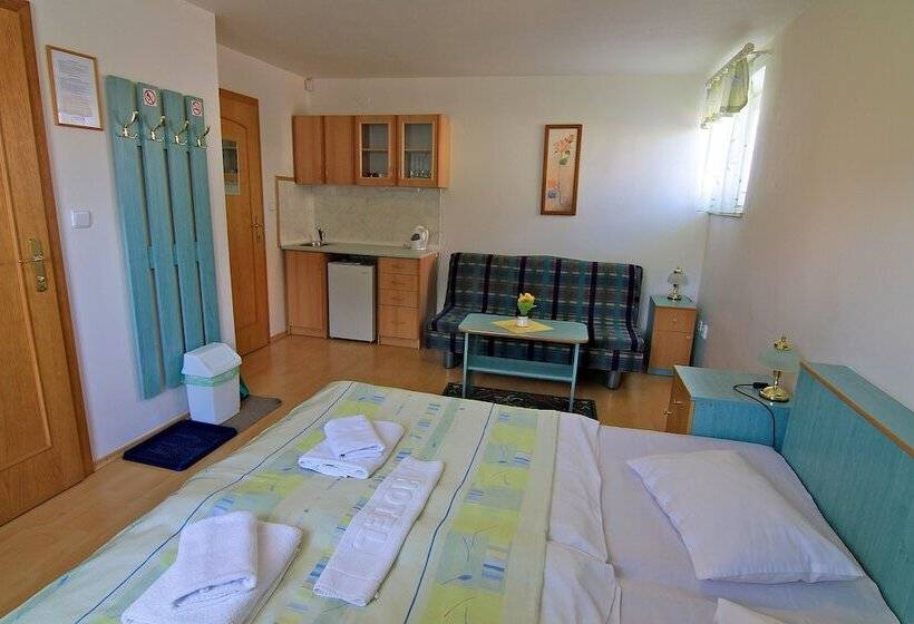 پانسیون Guest House Maxim