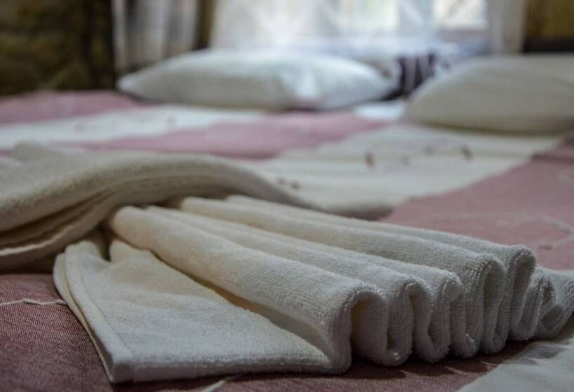 Pensjonat Zeushan Kucuk Otel