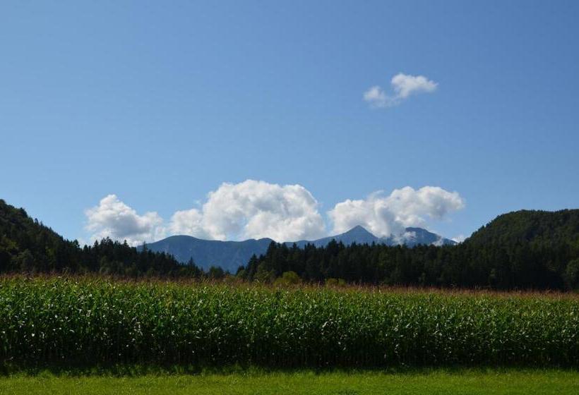 پانسیون Die Sonnenblume