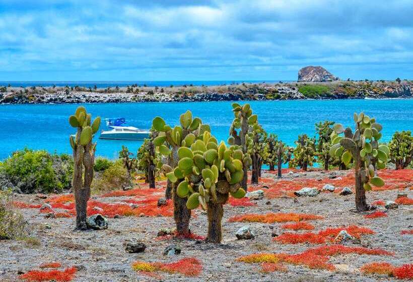 Royal Palm Galapagos, Curio Collection Hotel By Hilton