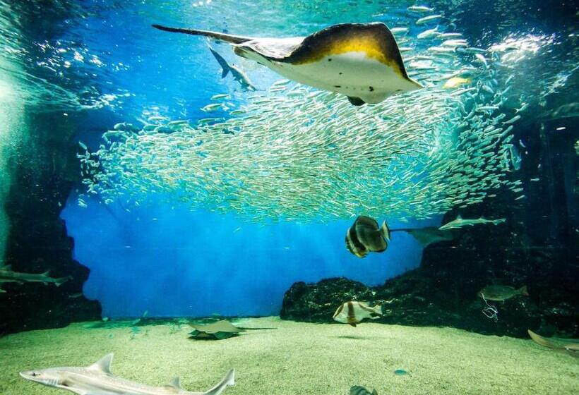 ريوكان Awara Onsen Minoya Taiheikaku